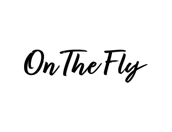 株式会社OnTheFlyロゴ